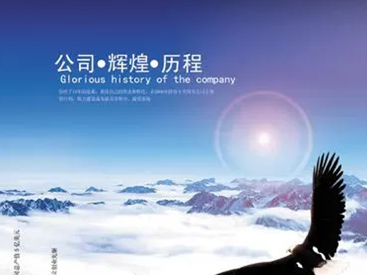 公司历程